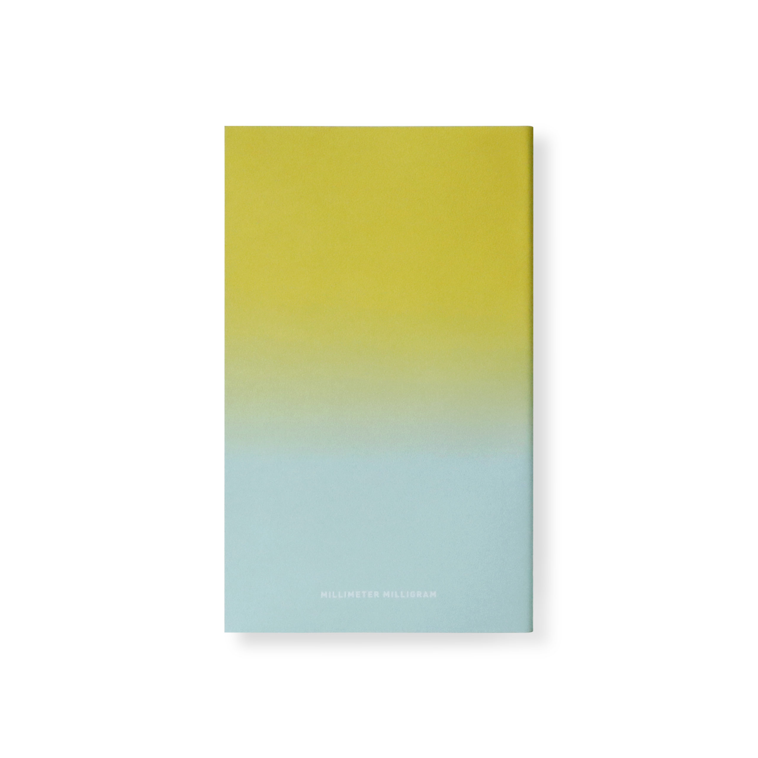 HORIZON NOTE L TAKE 10 B