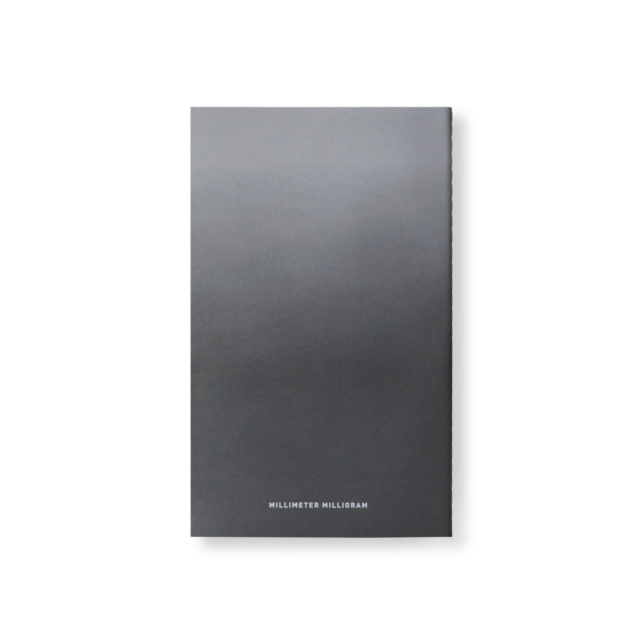 HORIZON NOTE L TAKE 11 B