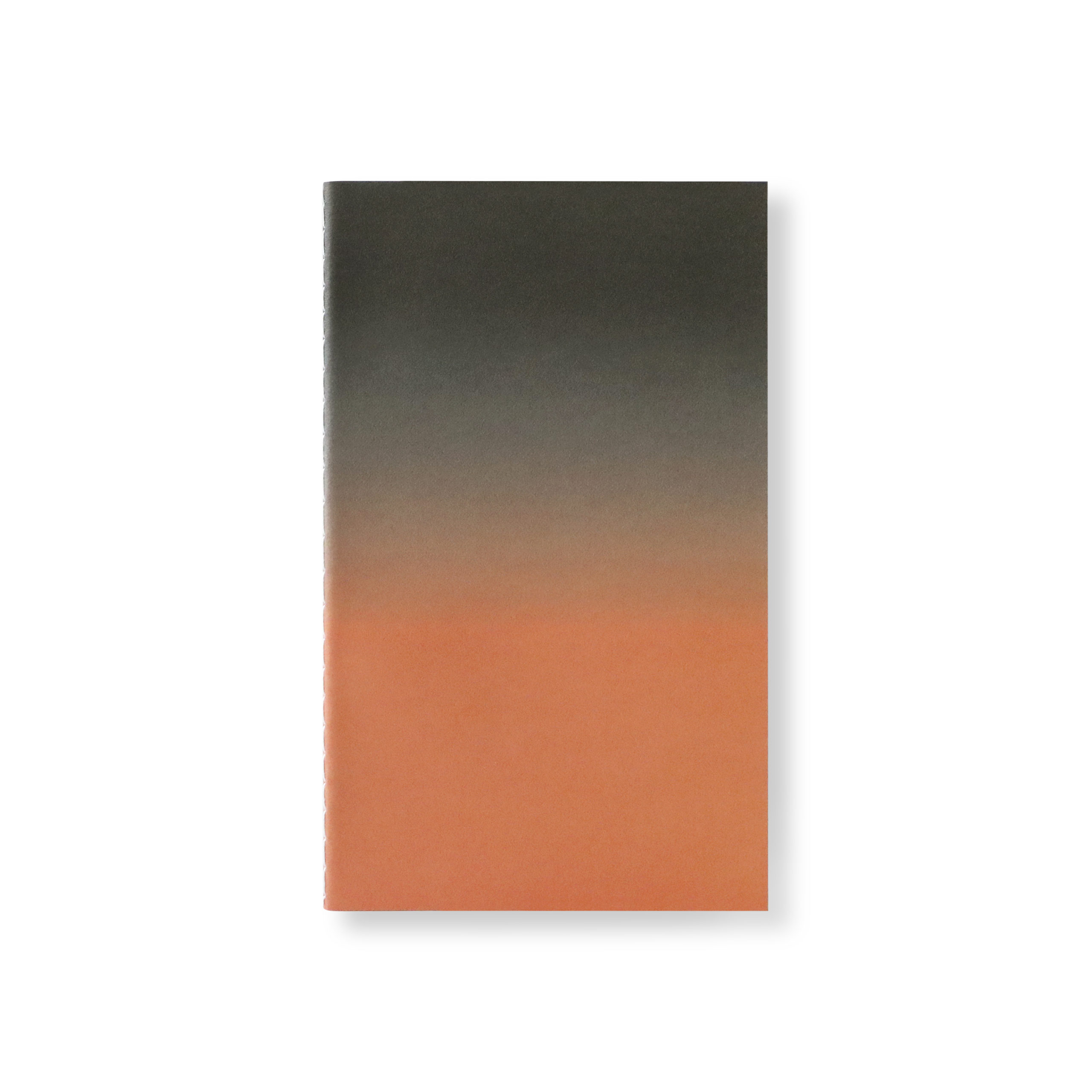 HORIZON NOTE L TAKE 12 F