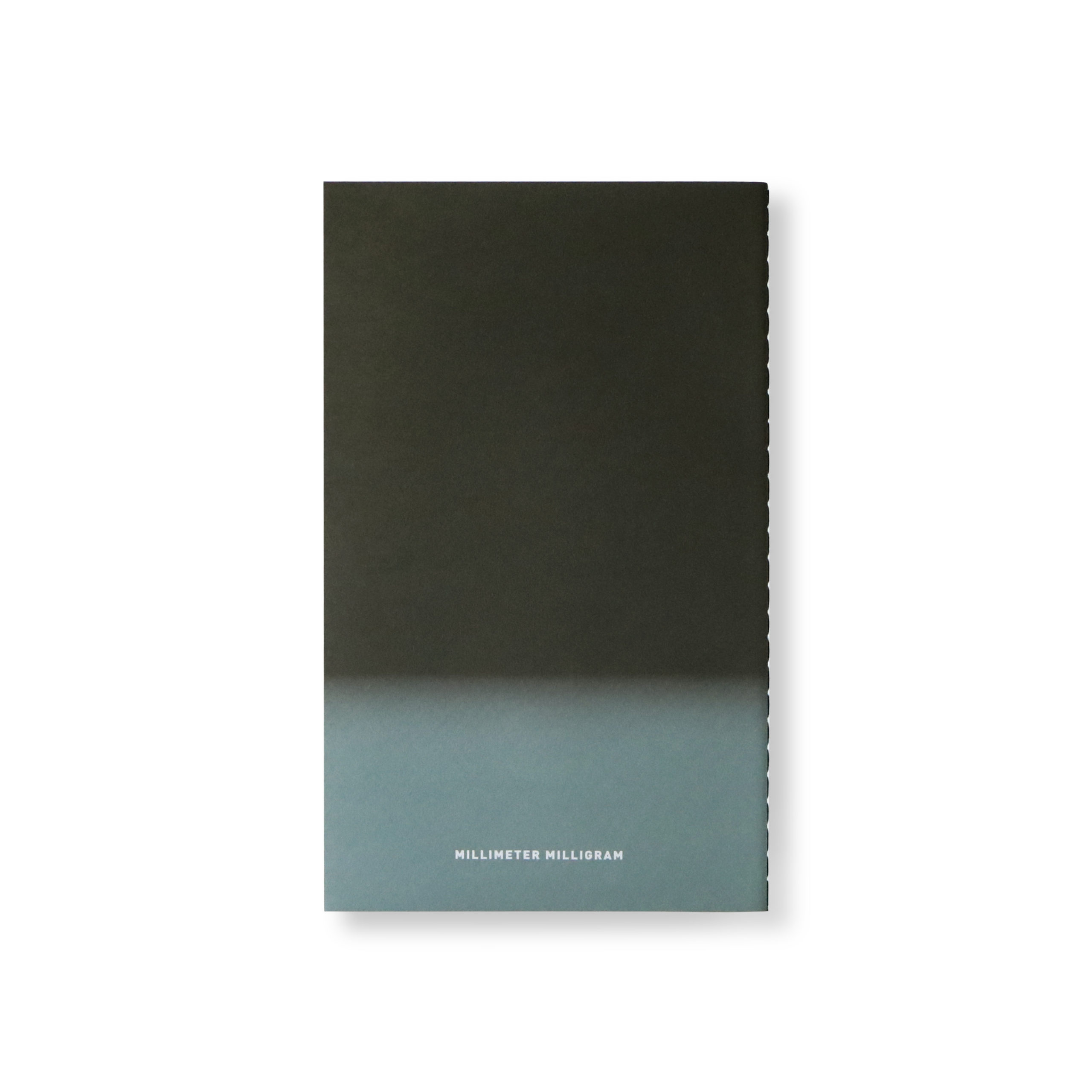 HORIZON NOTE L TAKE 2 B