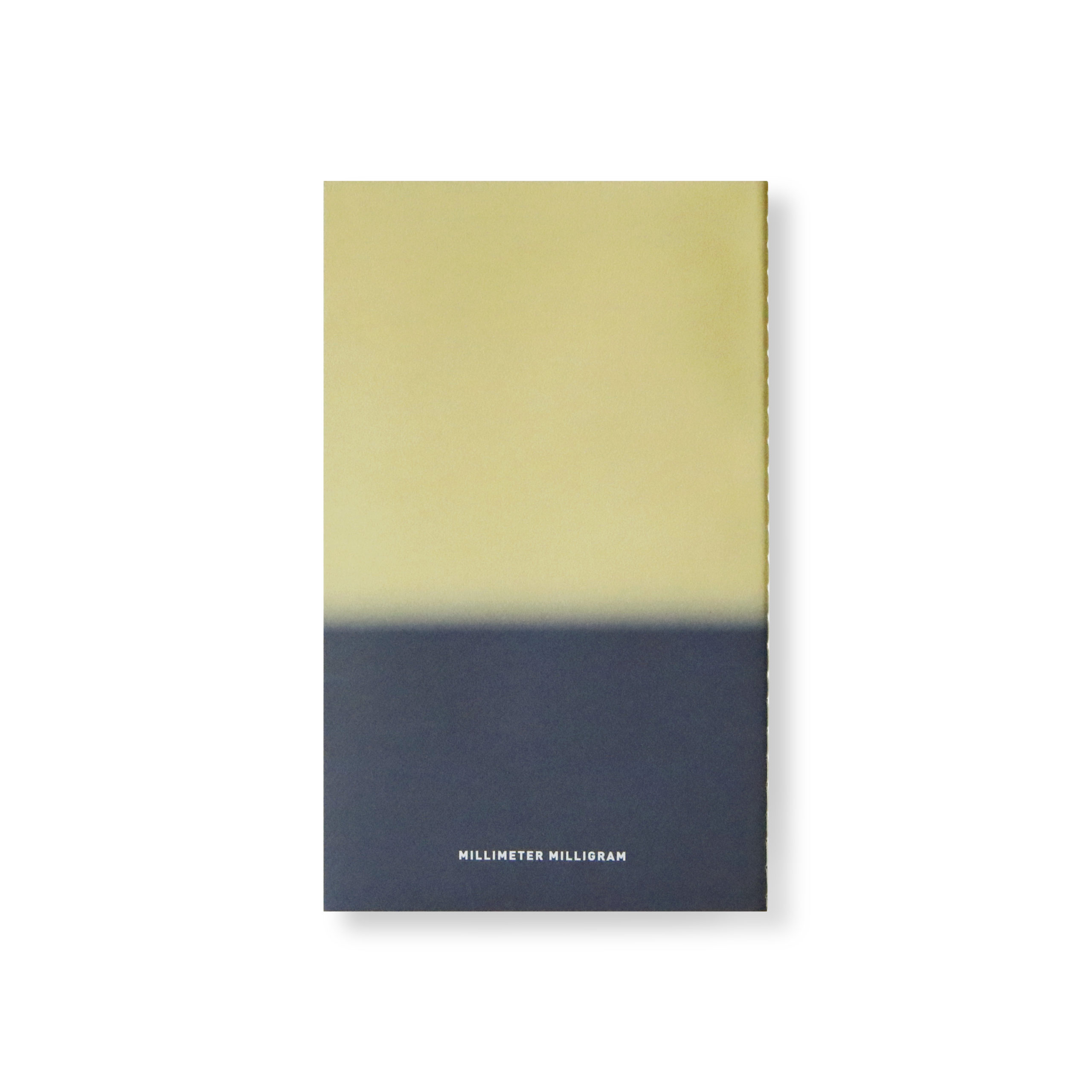 HORIZON NOTE L TAKE 9 B