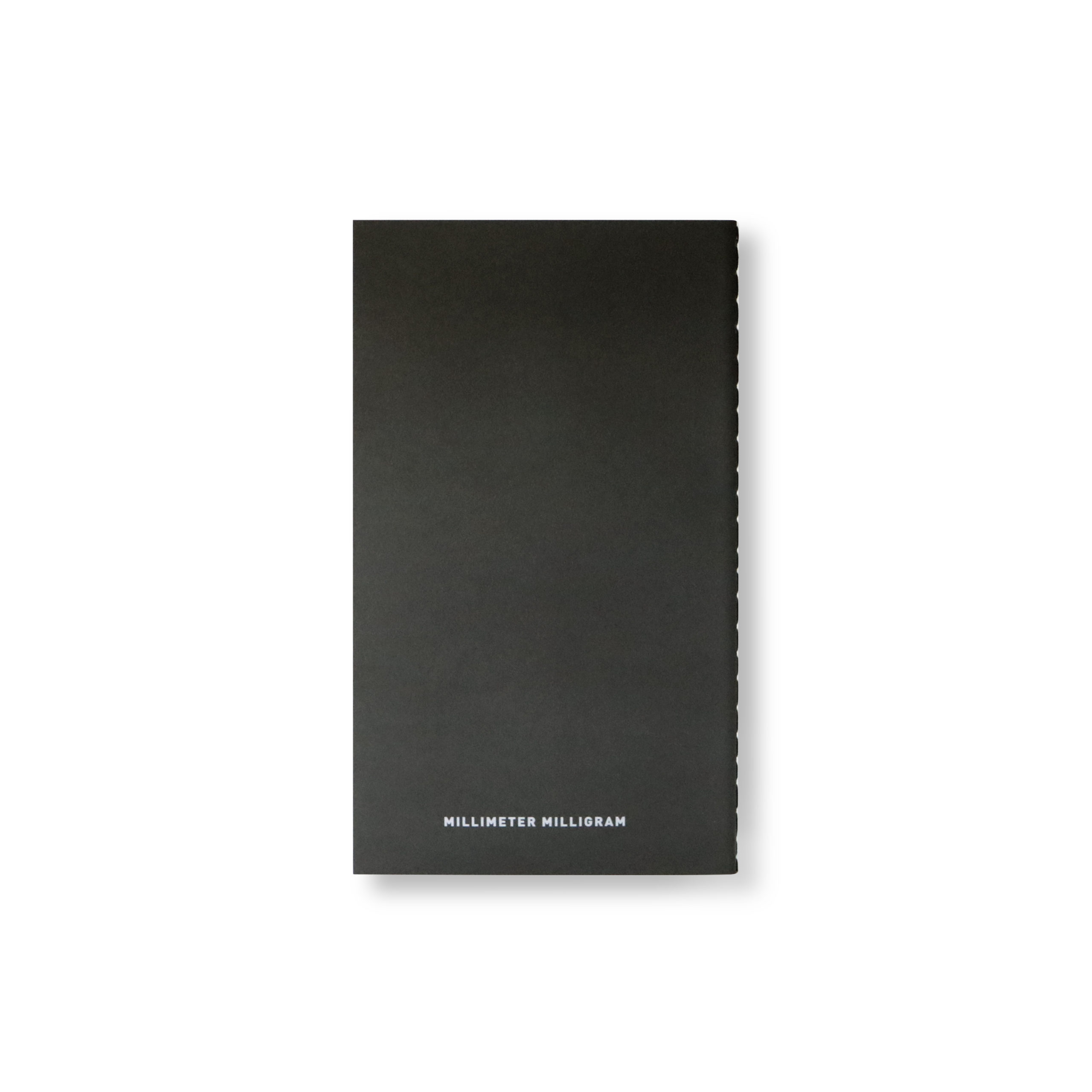 HORIZON NOTE S TAKE 1 B