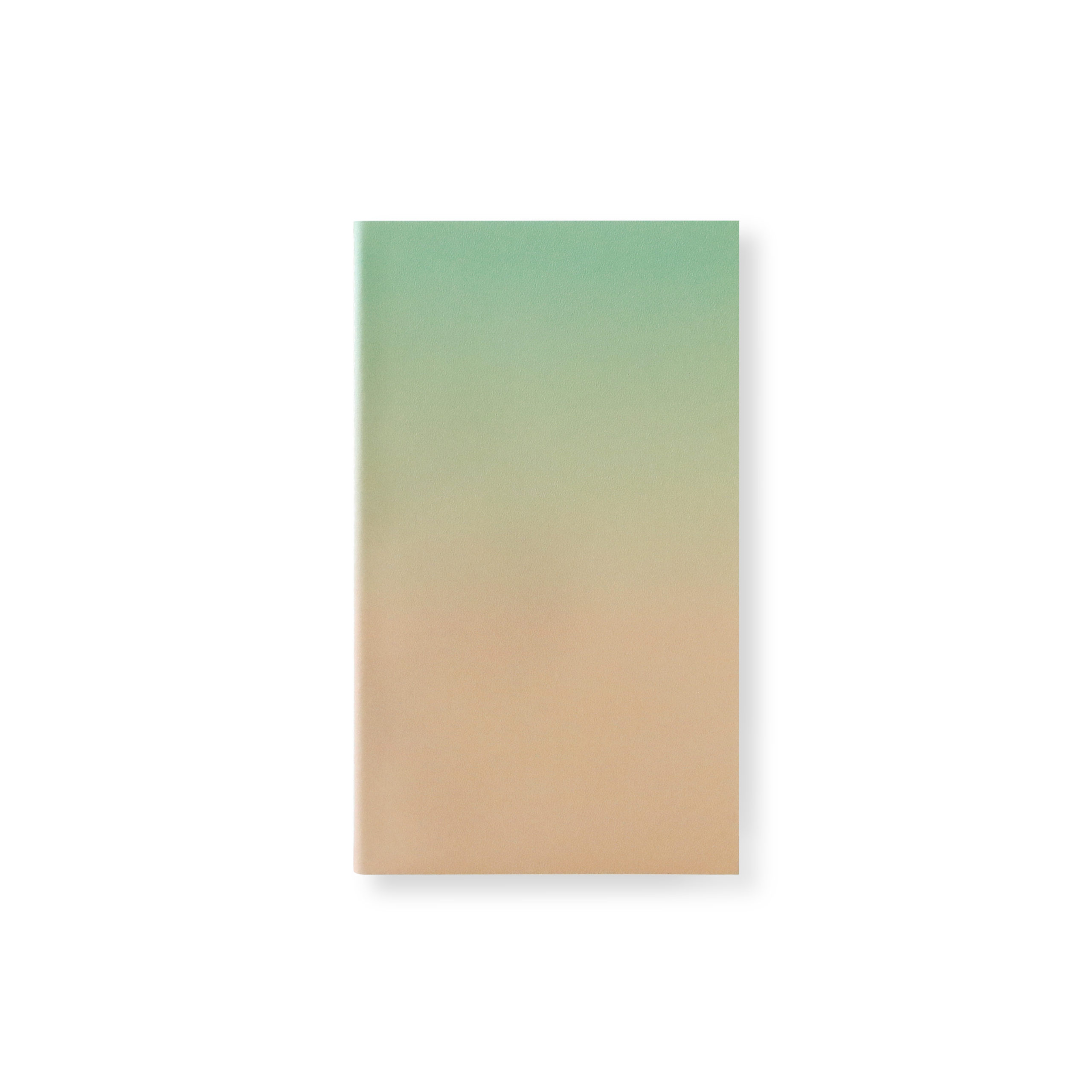 HORIZON NOTE S TAKE 12 F