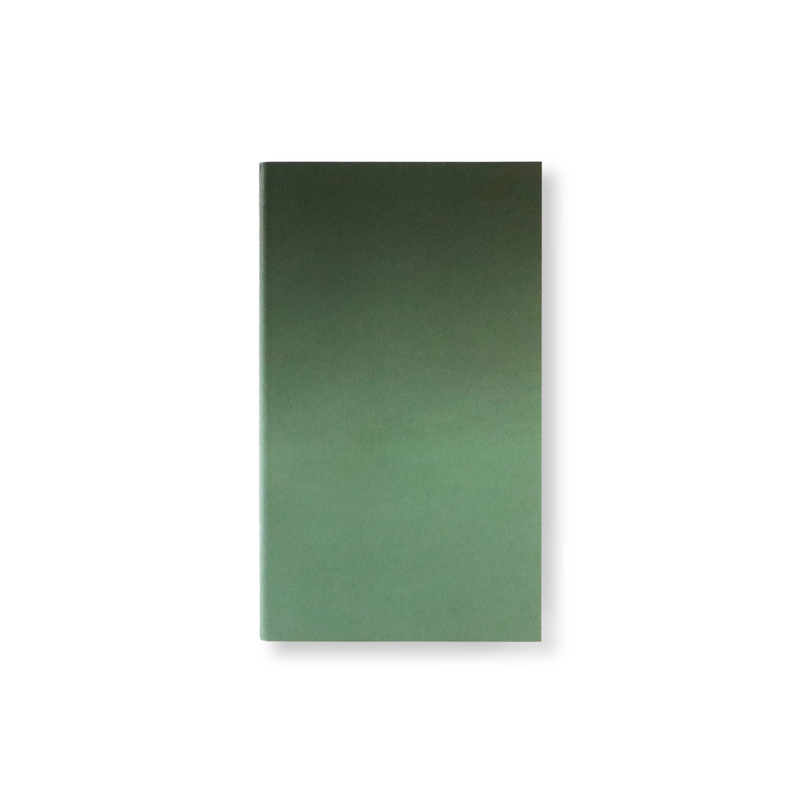 HORIZON NOTE S TAKE 5 F