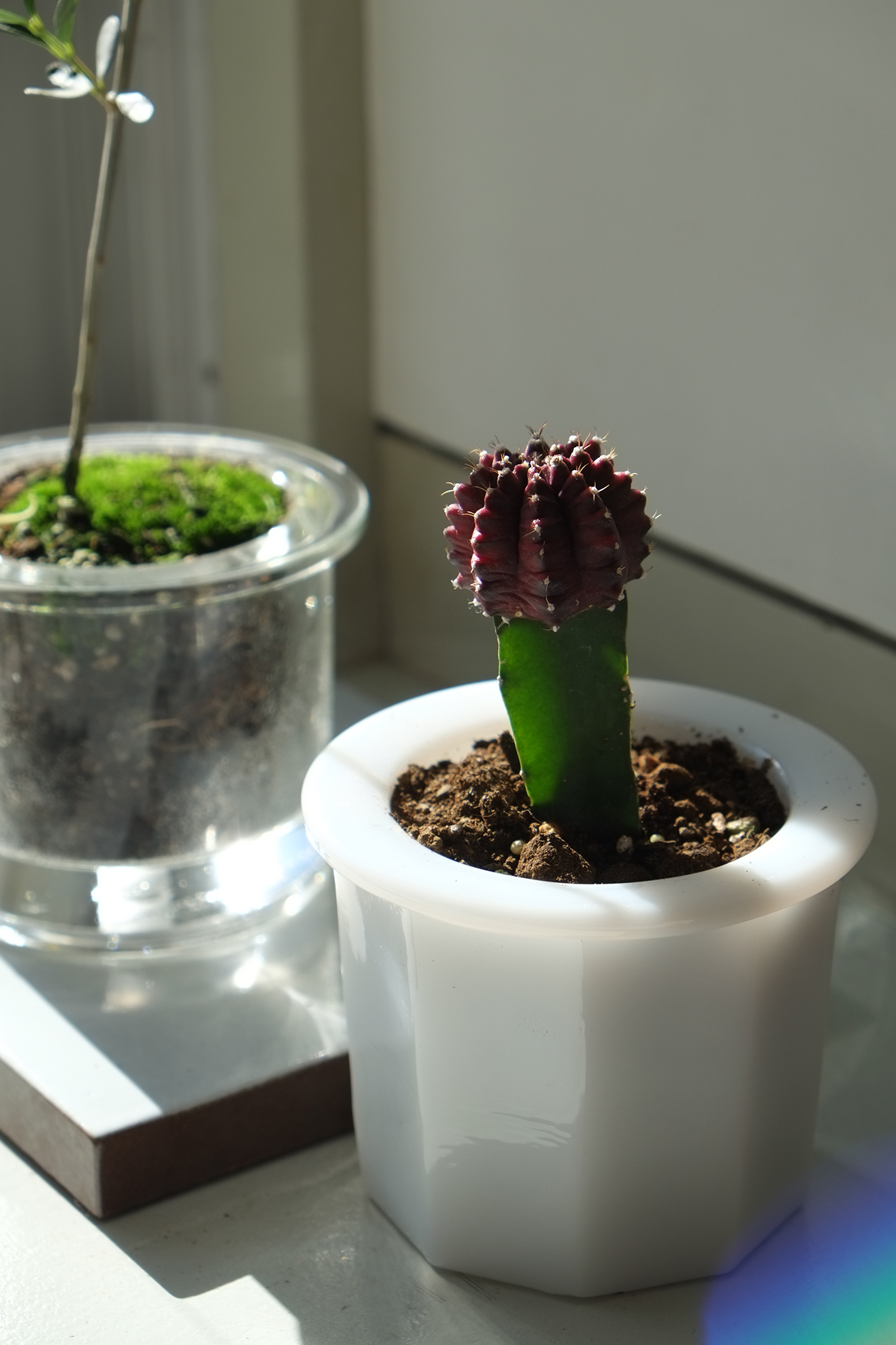 DSCF9019small DSCF9019small