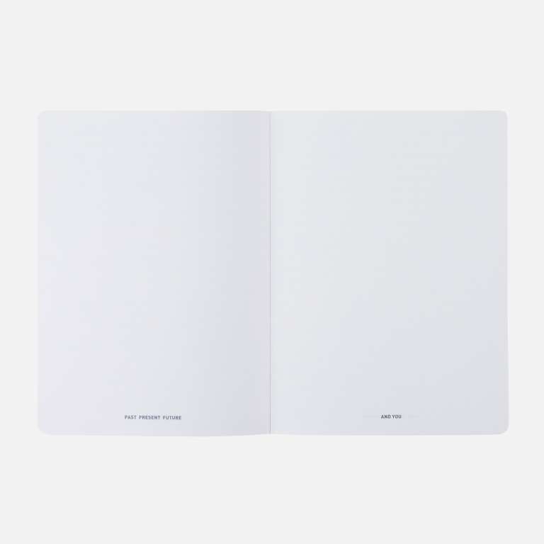 PPF L blank