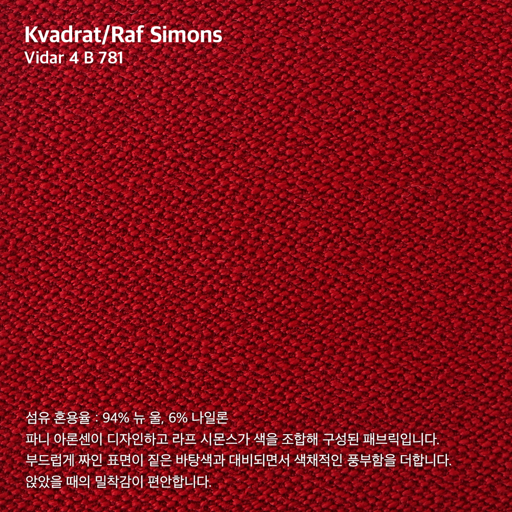 SWATCH Raf Simons B781