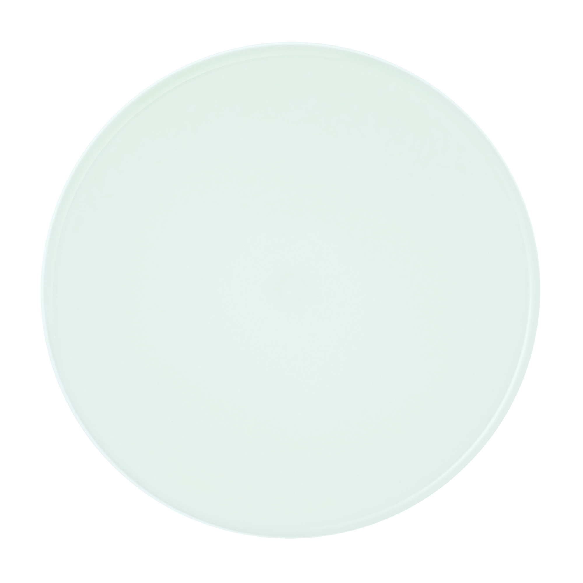 SS_B FlatPlate 270 - Light Green_2038 copy 2 SS_B FlatPlate 270 - Light Green_2038 copy 2