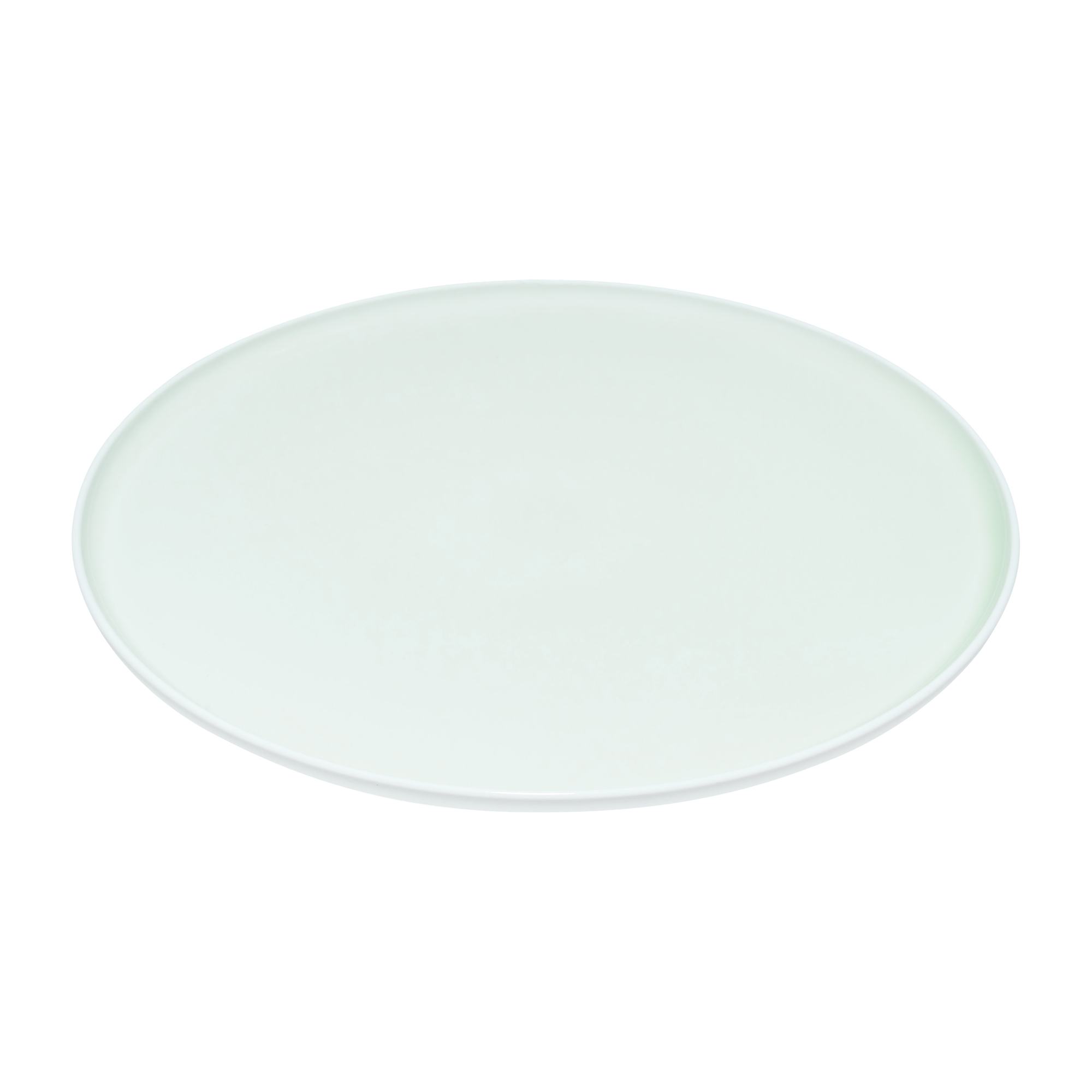 S_B FlatPlate 270 - Light Green_1839 copy 2