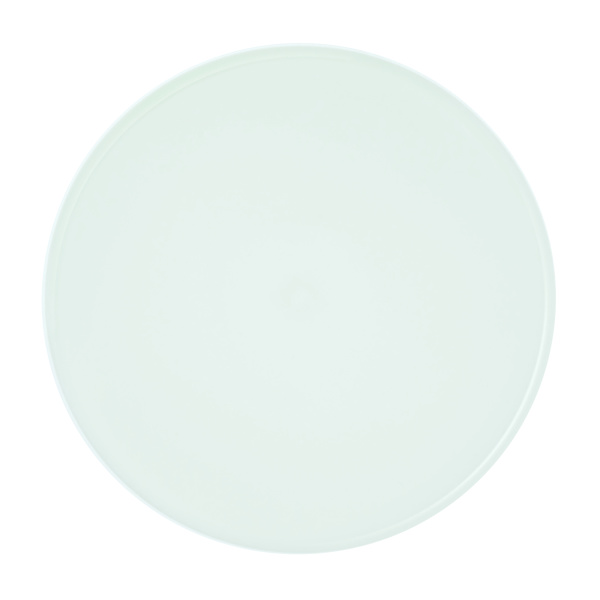 SS_B FlatPlate 270 - Light Green_2038 copy 2