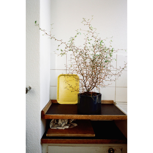 2118959_Rivi_Tray_yellow_white_Riihitie_Plant_Pot_B_blue_rgb_preview