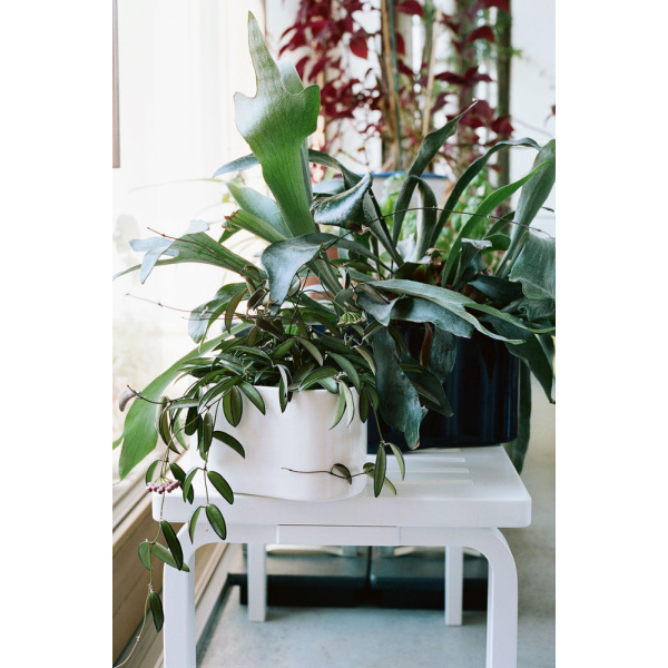 2383174_Riihite_Plant_Pot_A_small_white_glaze_Bench_153_white_lacquer_preview