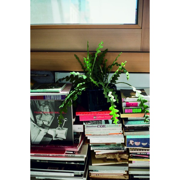 2383519_Riihitie_Plant_Pot_B_blue_3_CMYK_preview