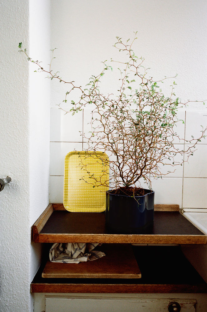 2118959_Rivi_Tray_yellow_white_Riihitie_Plant_Pot_B_blue_rgb_preview 2118959_Rivi_Tray_yellow_white_Riihitie_Plant_Pot_B_blue_rgb_preview