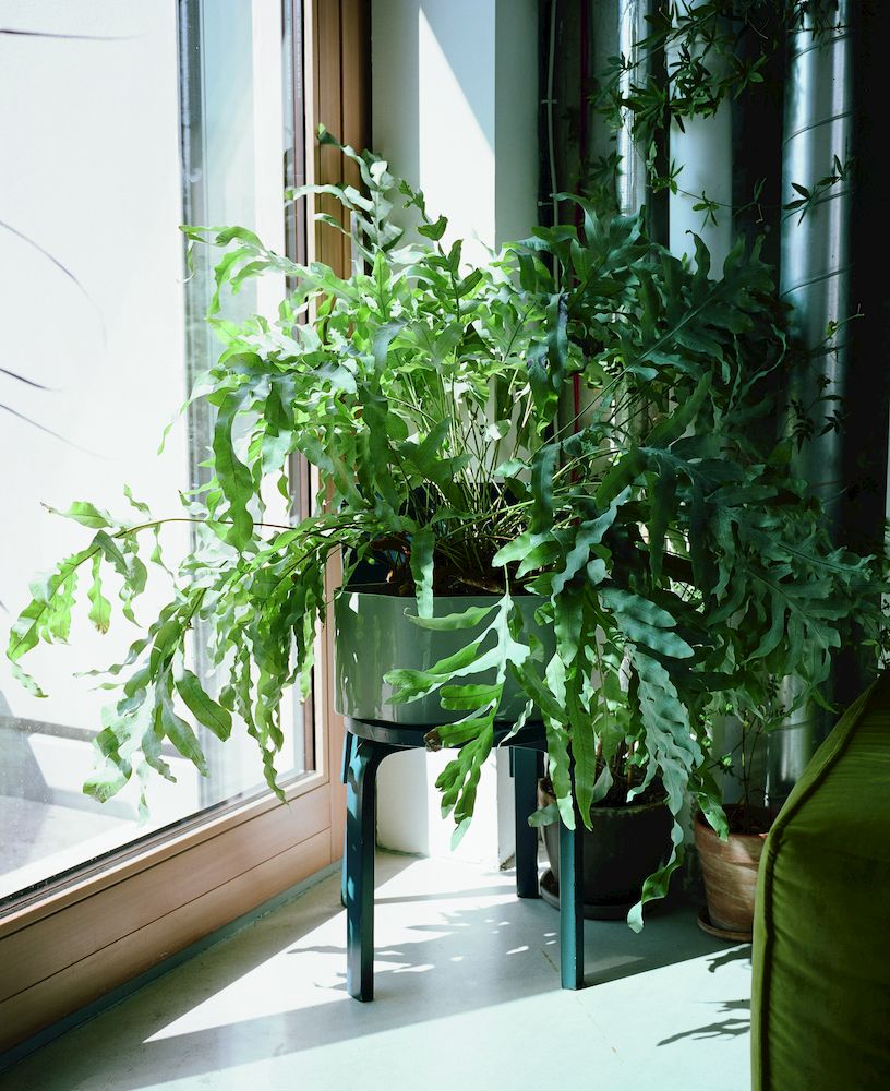 2383518_Riihitie_Plant_Pot_A_large_light_grey_Chair_66_blue_lacquered_2_CMYK_preview 2383518_Riihitie_Plant_Pot_A_large_light_grey_Chair_66_blue_lacquered_2_CMYK_preview