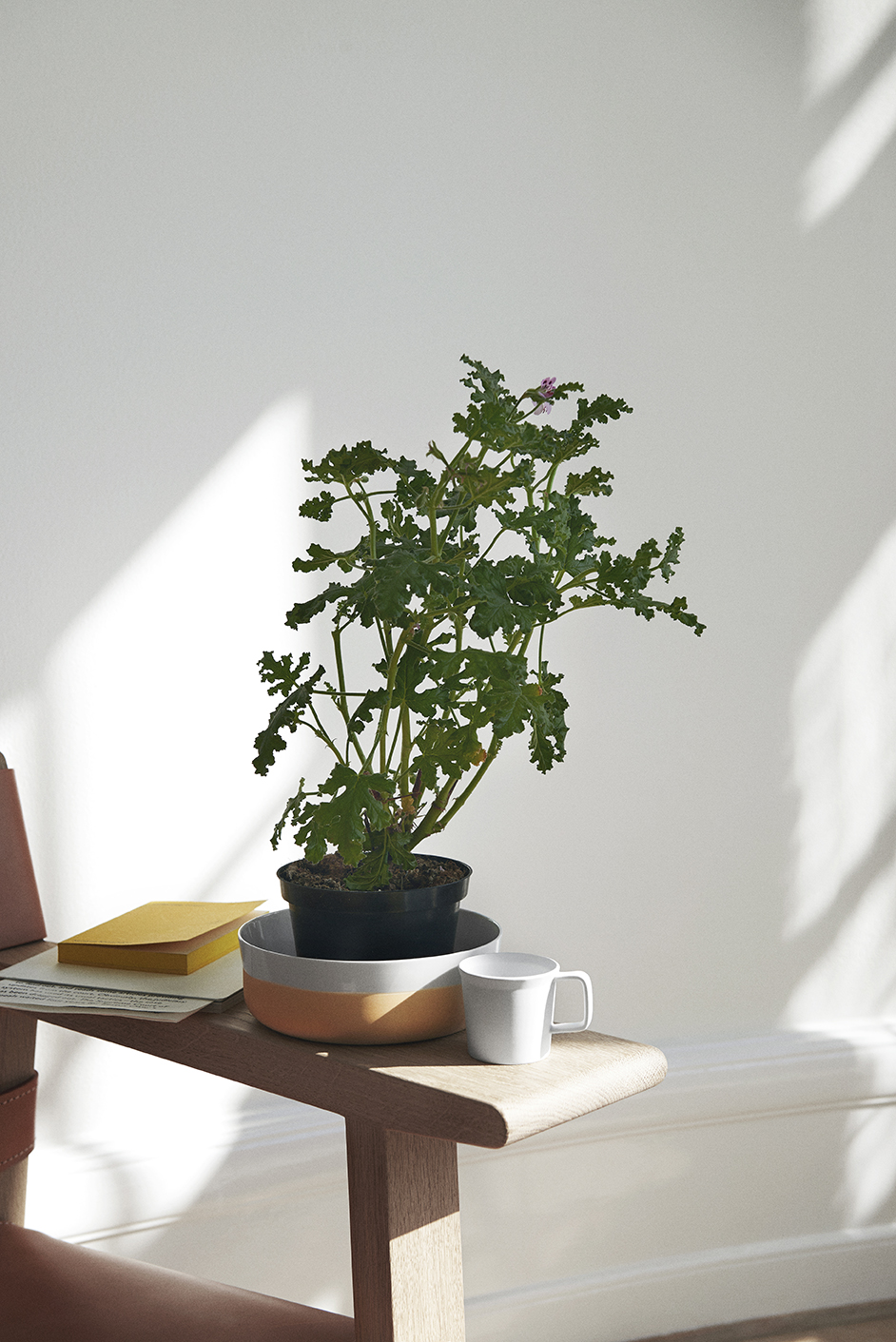 1616aritajapan_EH_7006_l 1616aritajapan_EH_7006_l