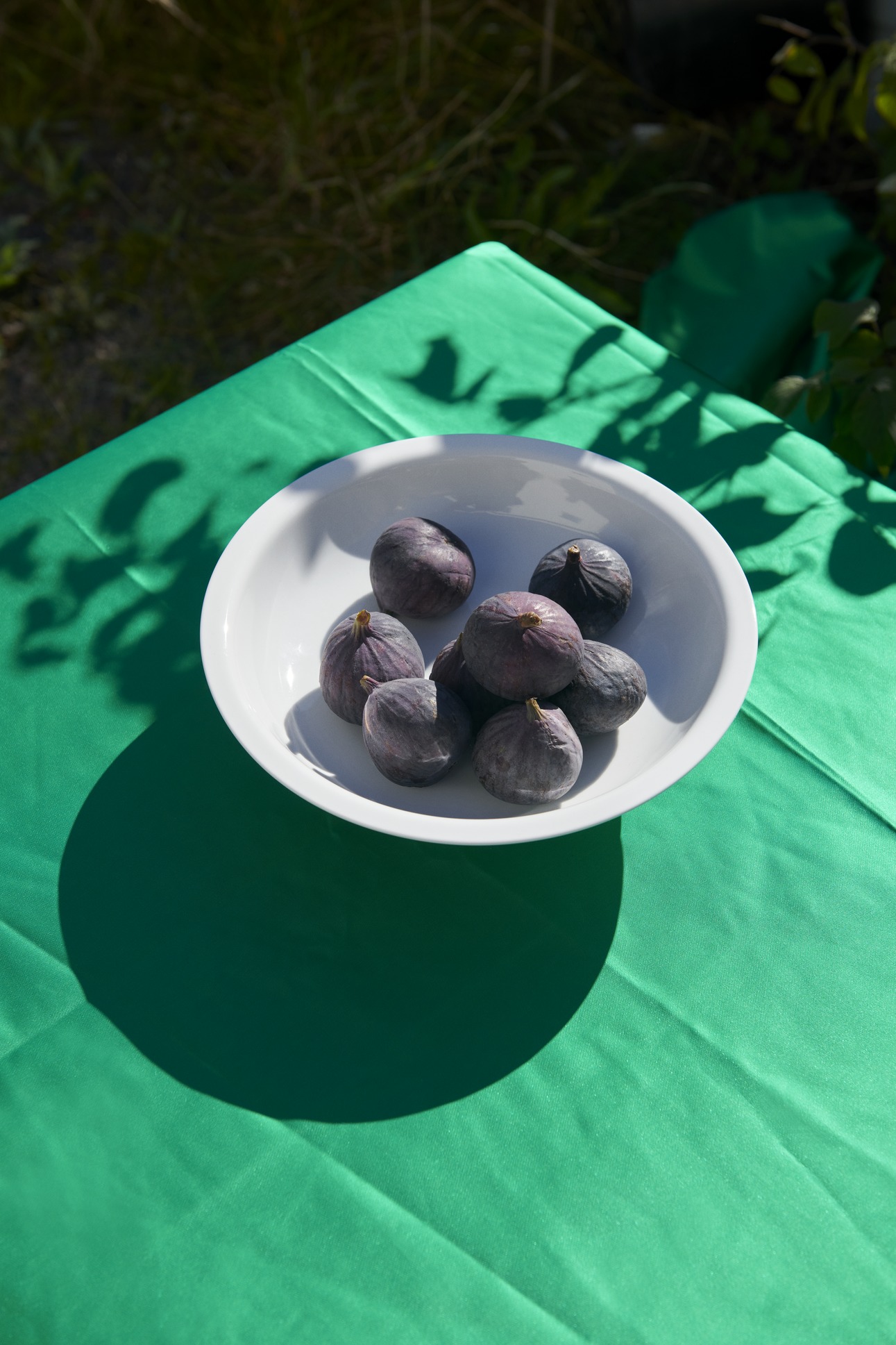 Soft_deep_rim260_sep22