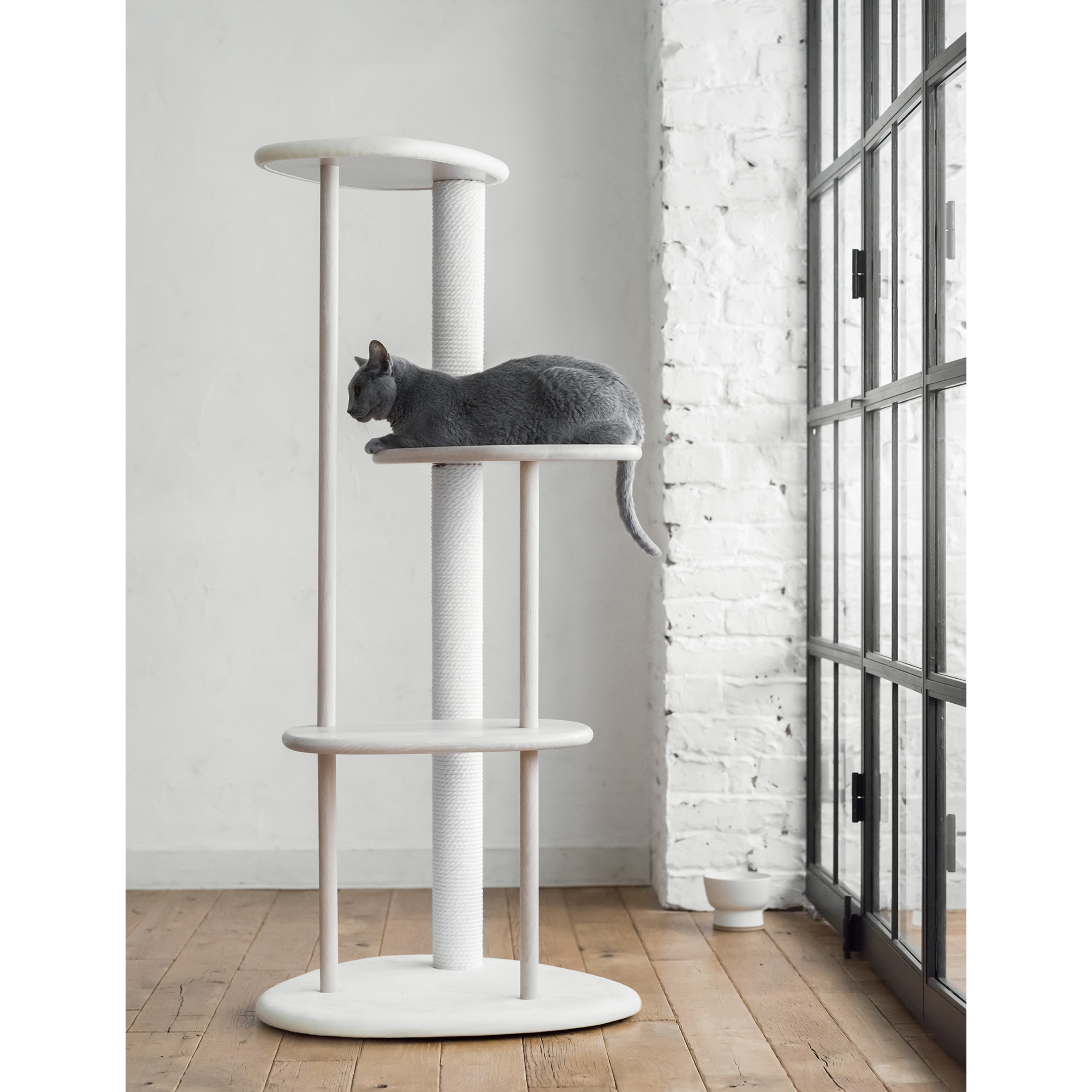 cat tree cats 1